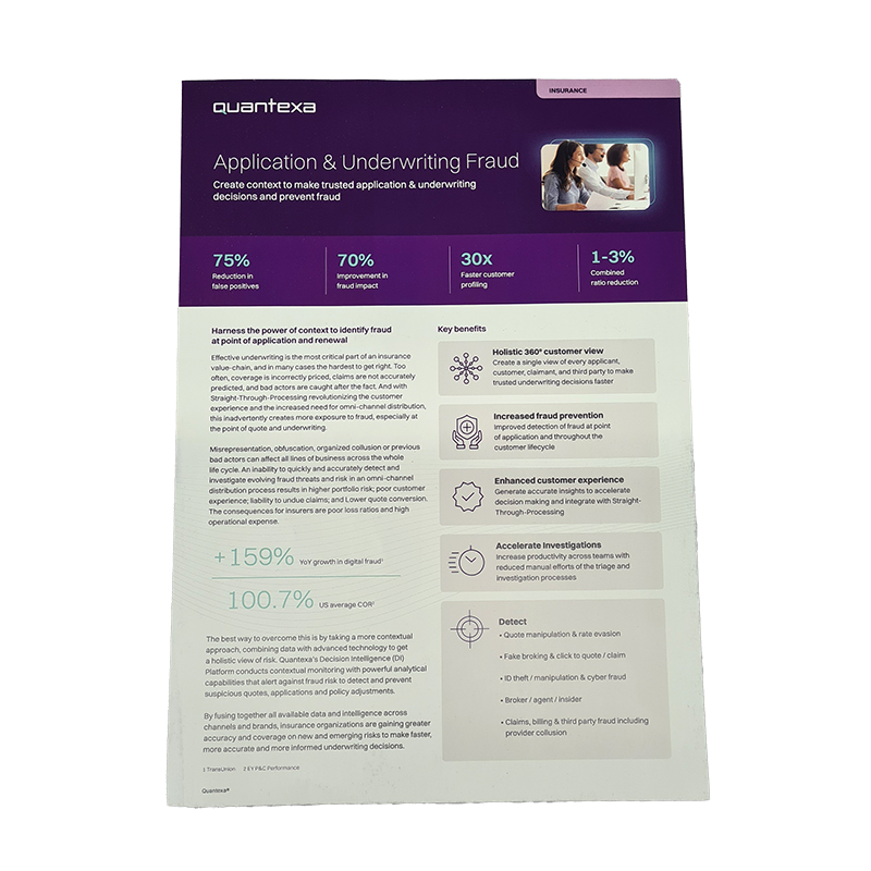 A4 Flyer - Application & Underwriting Fraud