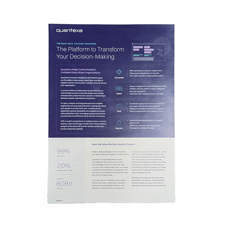 A4 Flyer - The Platform to Transform