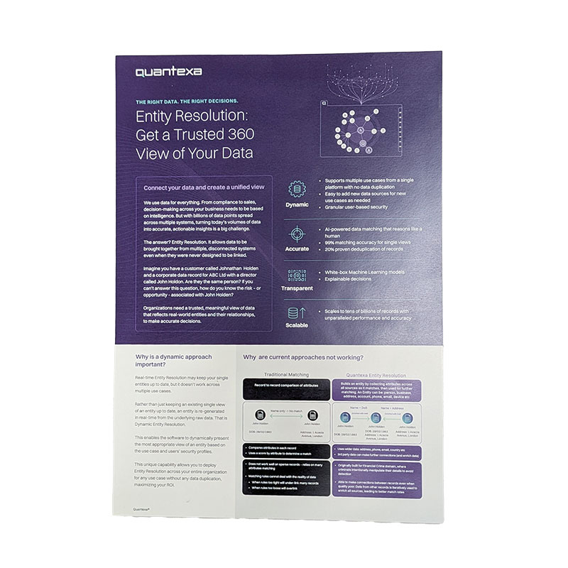 A4 Flyer - Entity Resolution